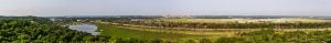 a scenic landscape of trees and flat lands - Affiliates header