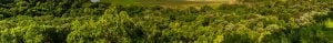 Keep Nebraska Beautiful About Us Page Banner