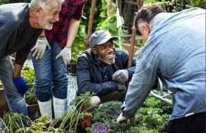 A group of men cleaning and gardening